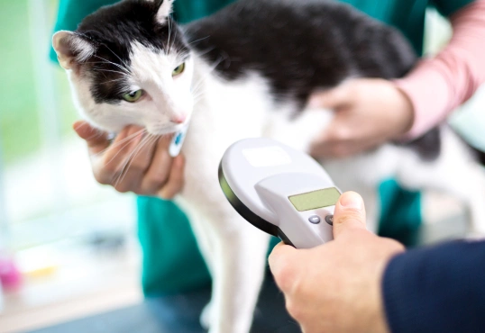 Pet Microchipping