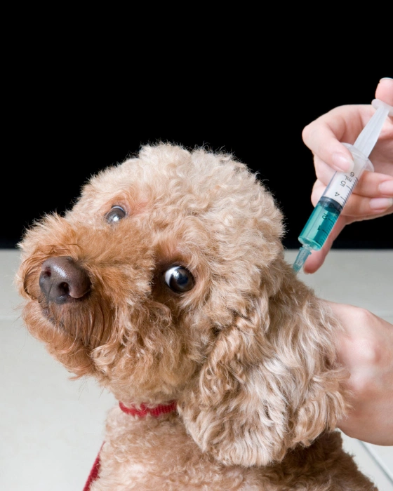 Core and Non-Core Vaccines